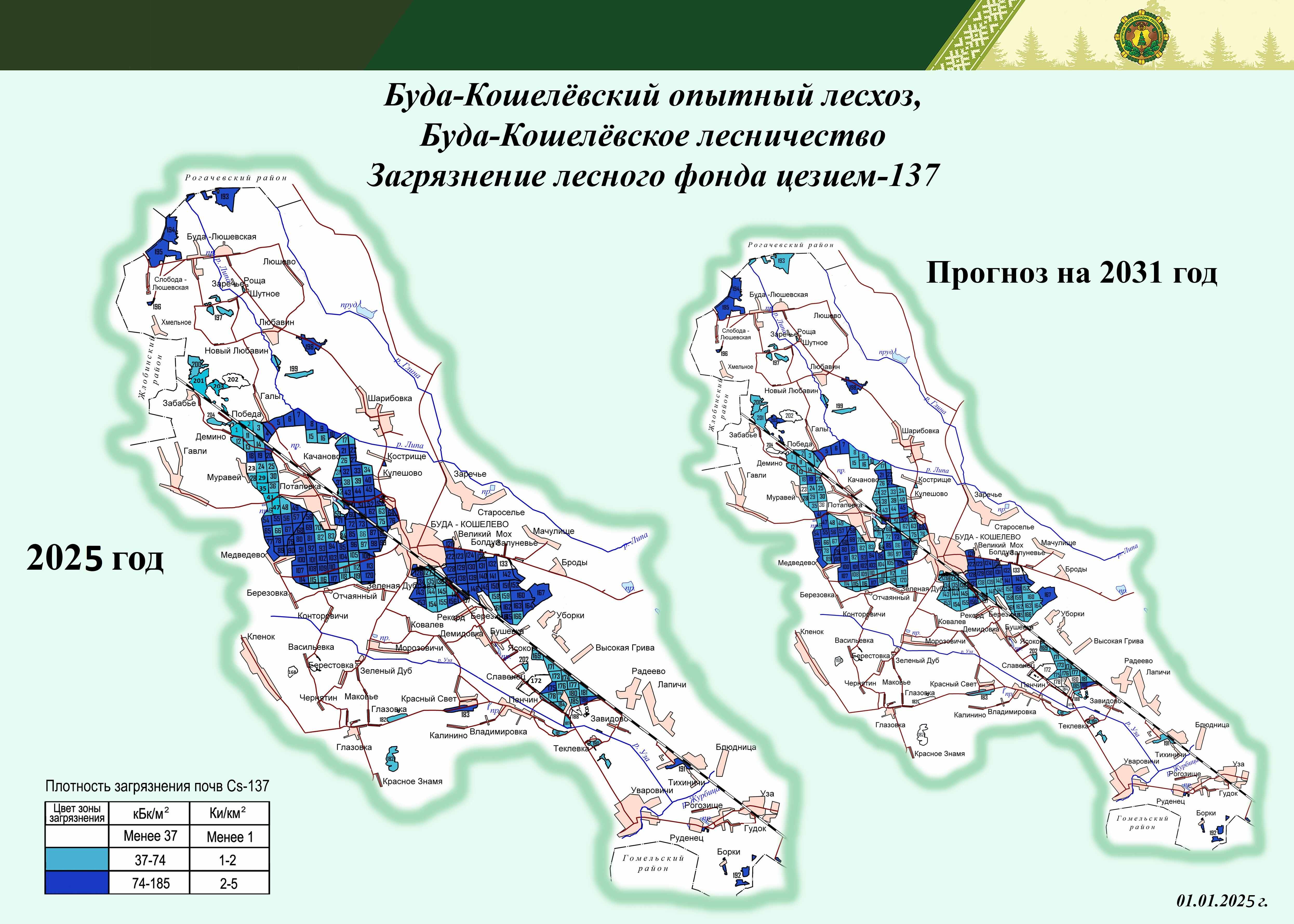  Кошелёвское лесничество 20212