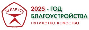 Год благоустройства