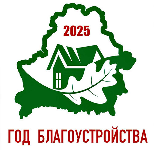 Год благоустройства