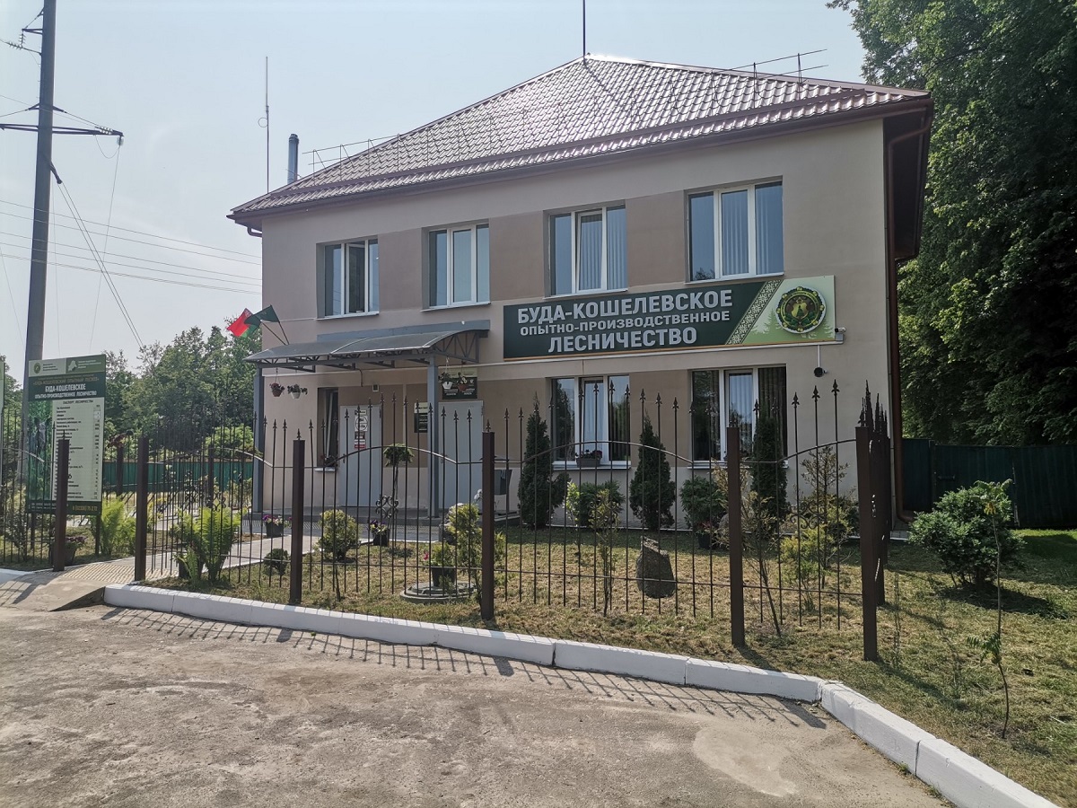 Buda 