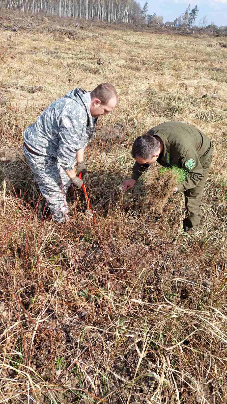 IMG fe945a9c2c97beae89ece8e369a261dd V