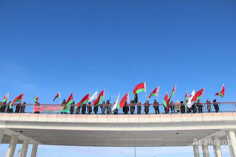 IMG 1354 800x533
