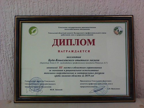 IMG 20200305 1529141