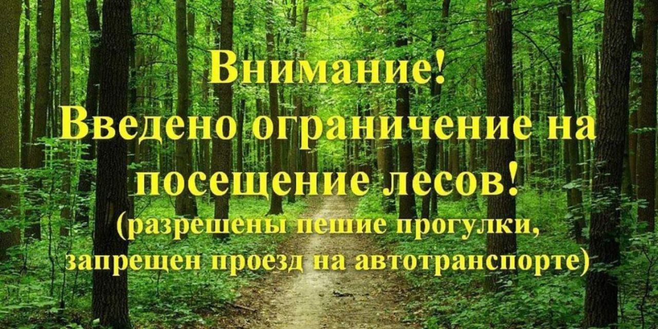  photo 2025 08 29 13 48 56