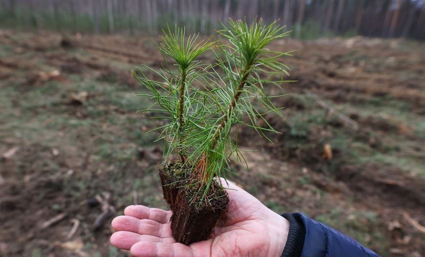  viber 2025 09 24 17 45 56 171