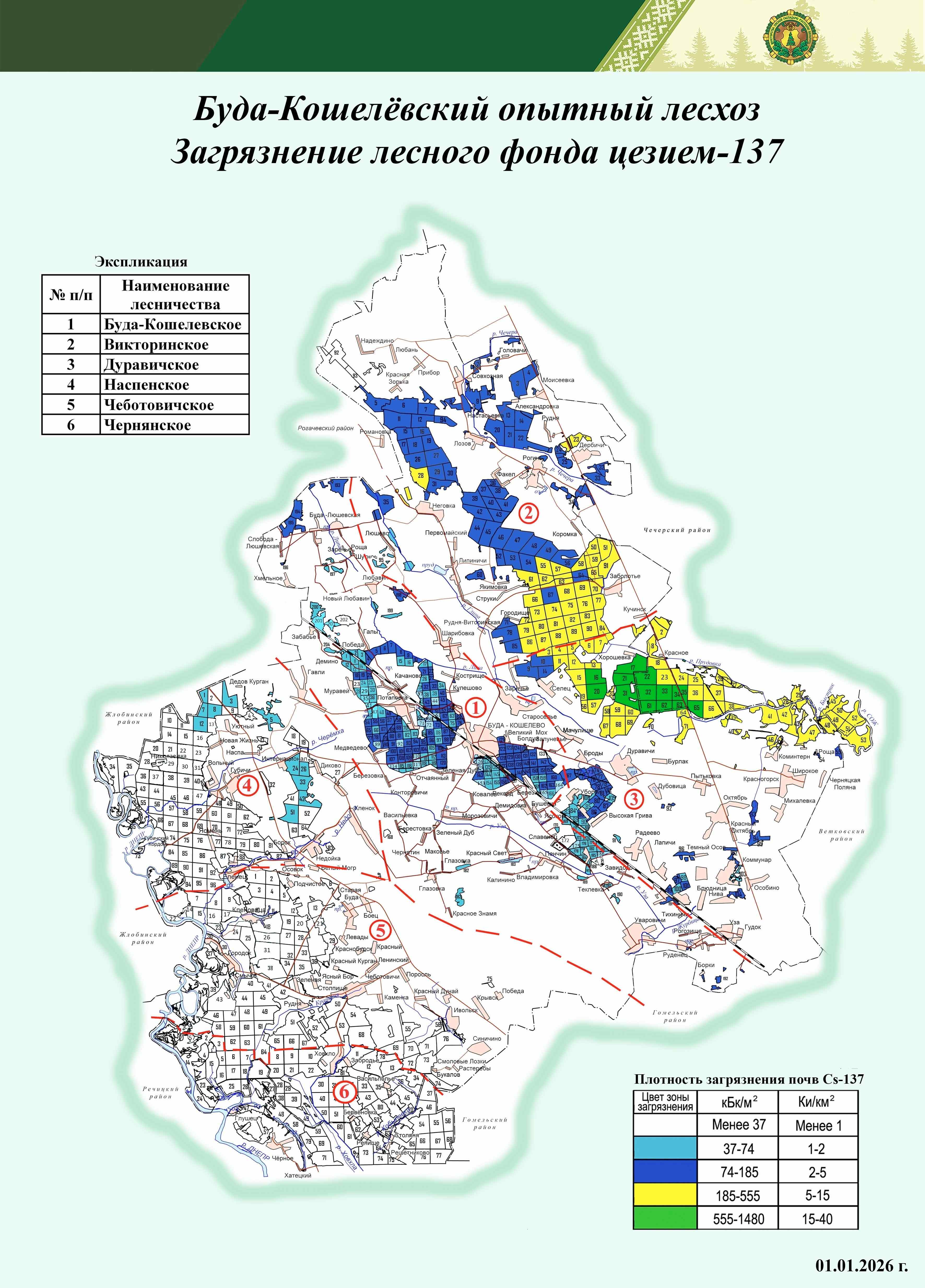  карта Буда Кошелёвского лесхоза 2025 3