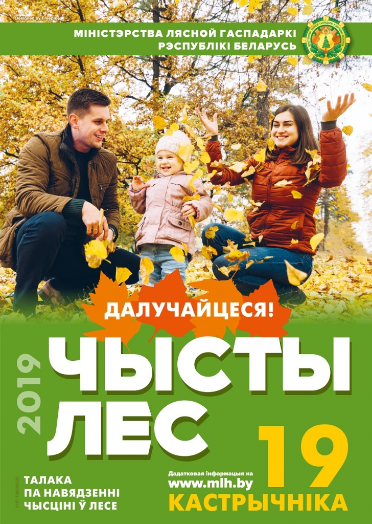  лес 2019