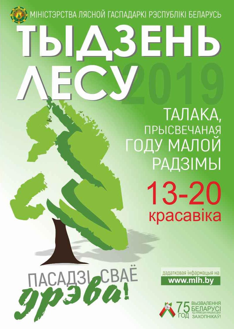  лесу 2019 1