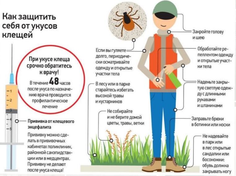 gomelskiiopytnyileskhoz 2 post 27 03 2024 16 31 143333014171375223326 1