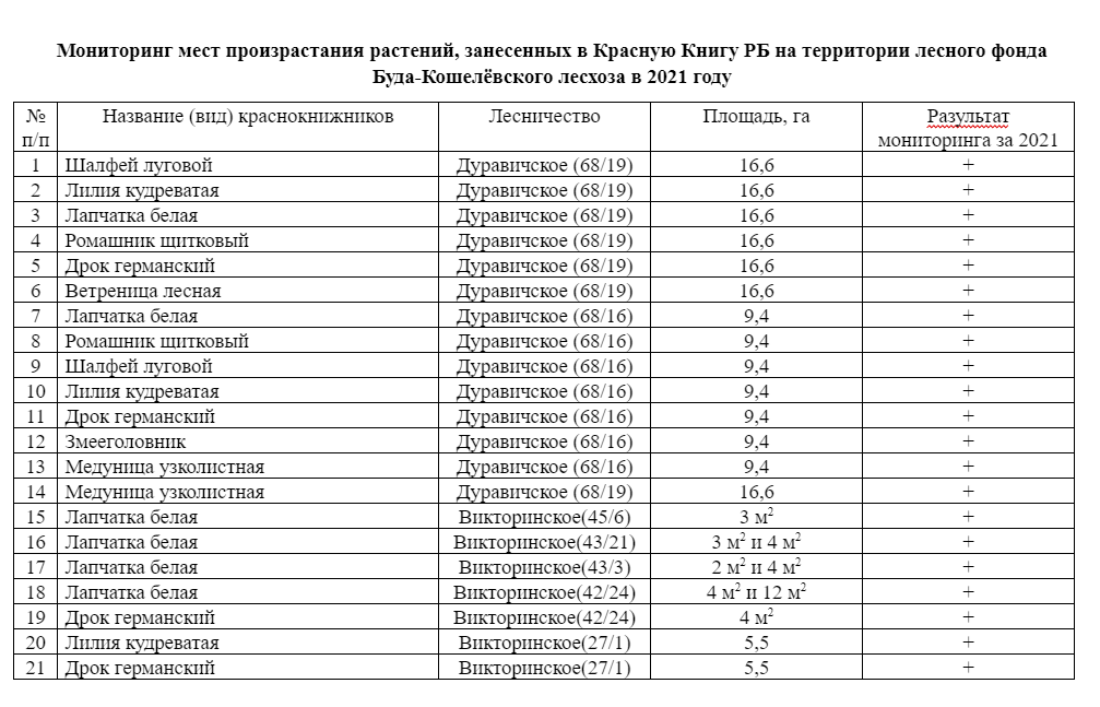 monitorn2