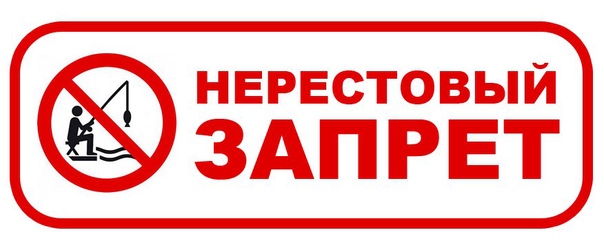 nerest
