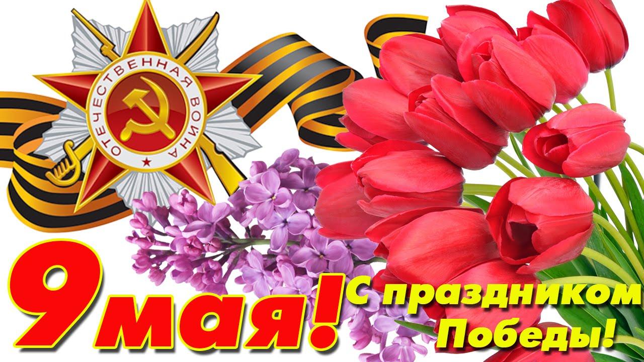 9may