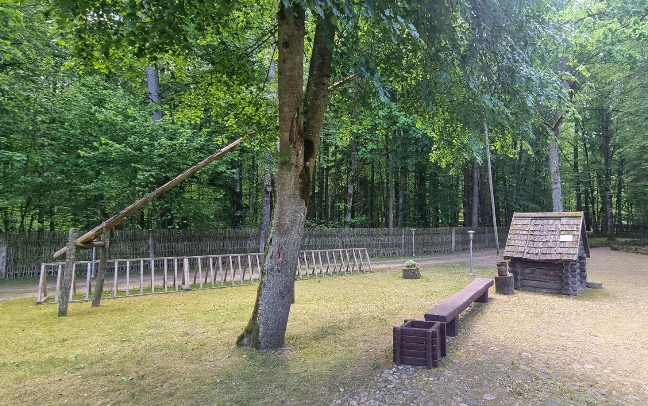 photo 2025 06 14 17 28 22