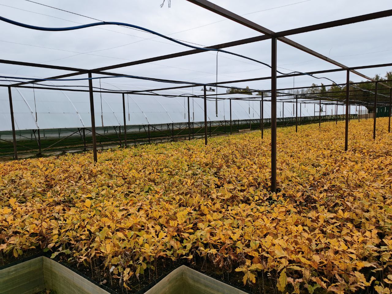 photo 2025 10 02 11 22 49 3