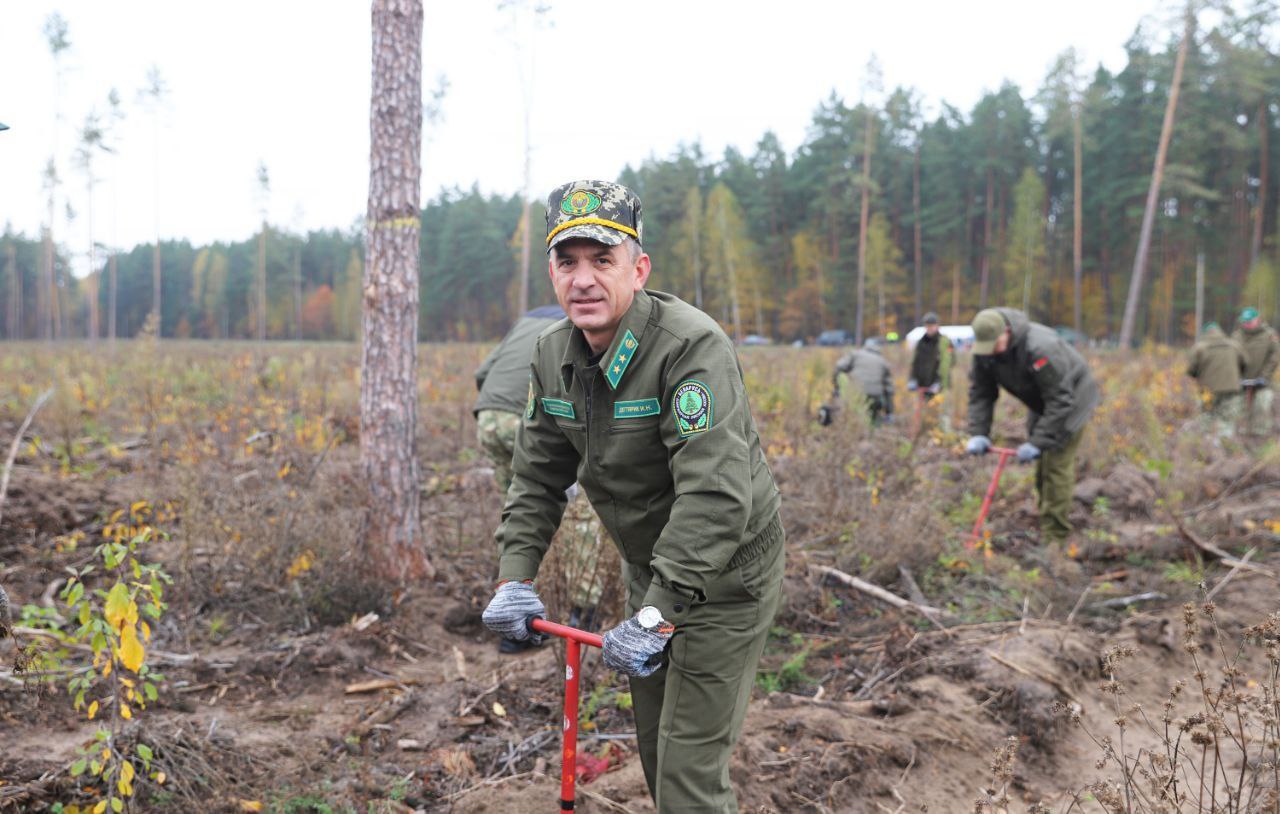 photo 2025 10 18 15 22 07