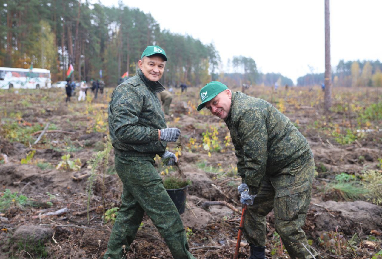 photo 2025 10 18 15 22 49