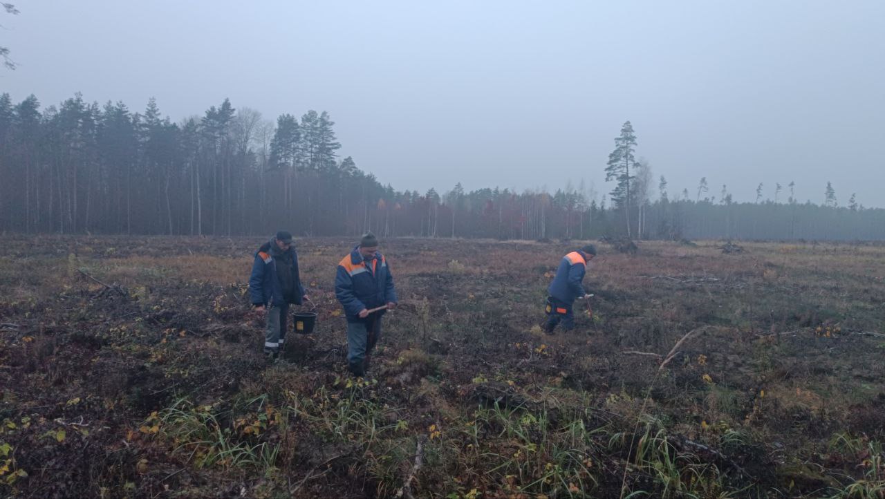 photo 2025 11 08 12 03 04