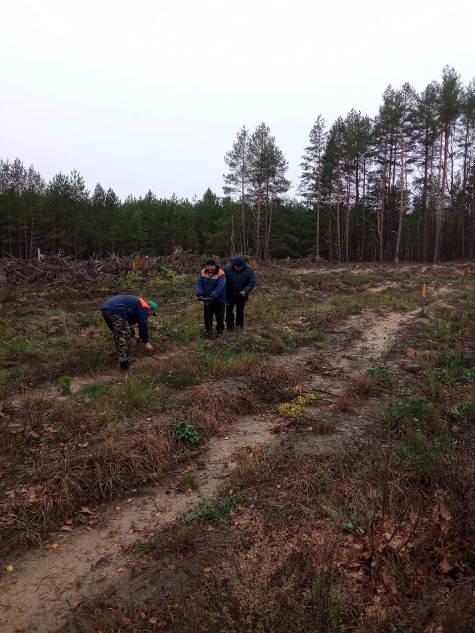 photo 2025 11 08 12 03 13