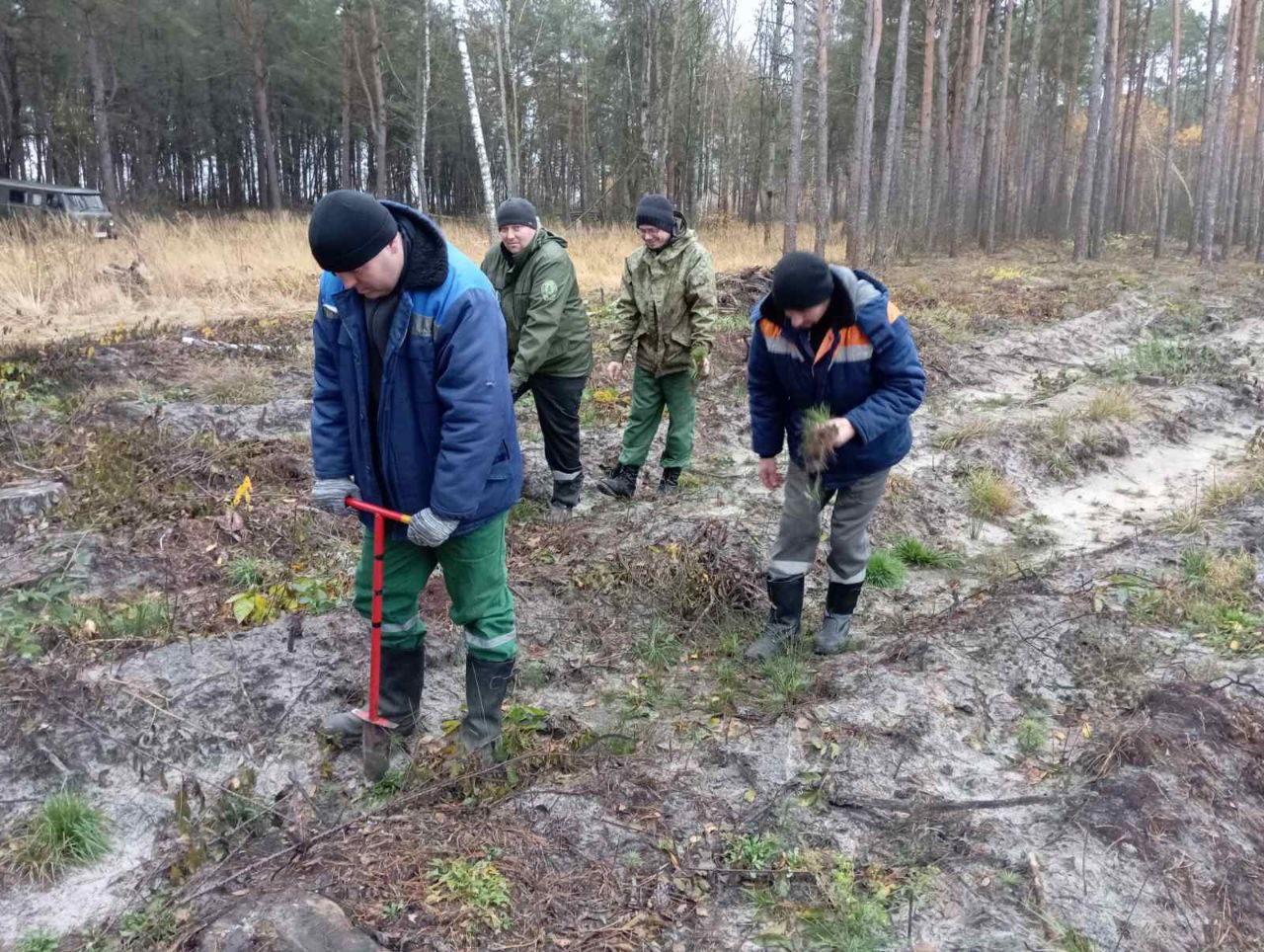 photo 2025 11 08 12 03 21