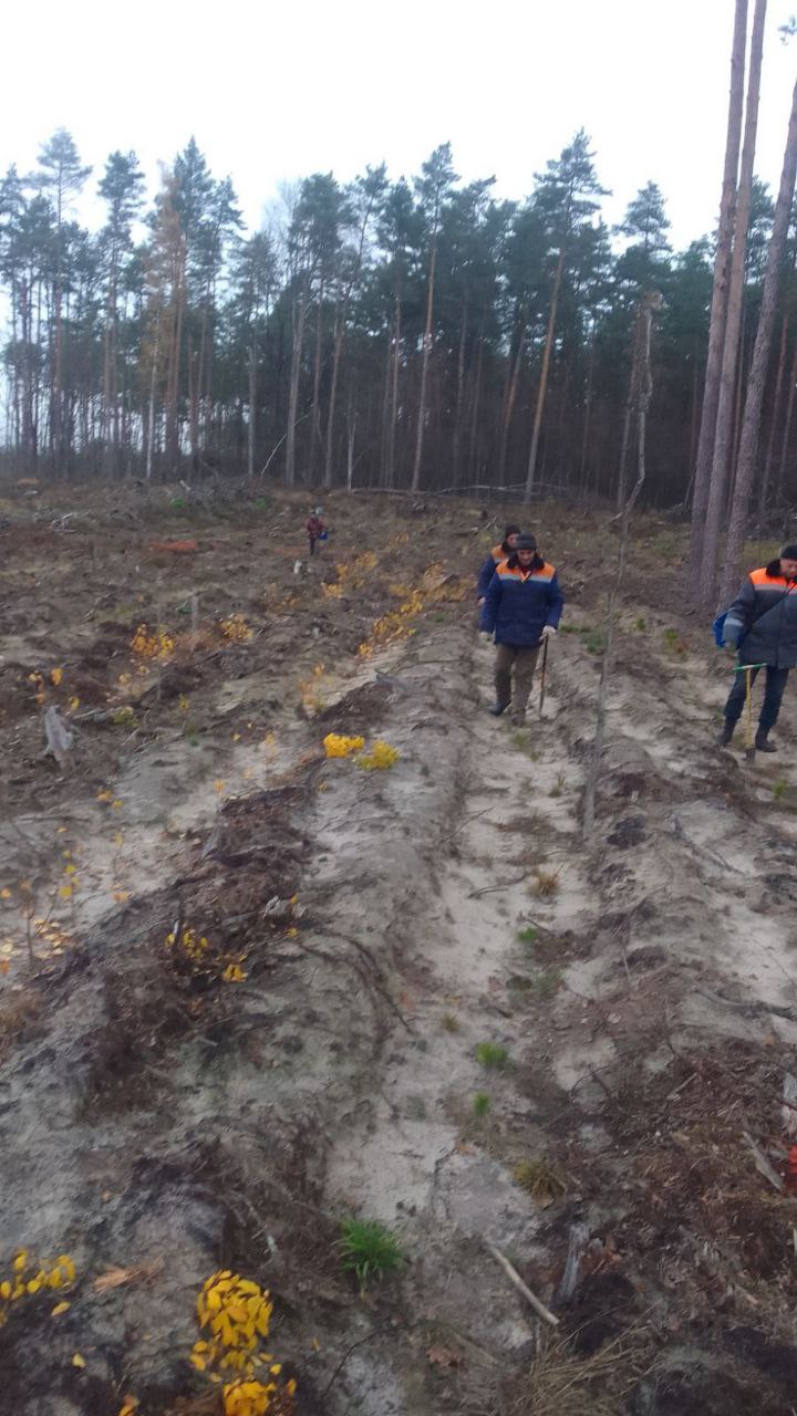 photo 2025 11 08 12 03 28