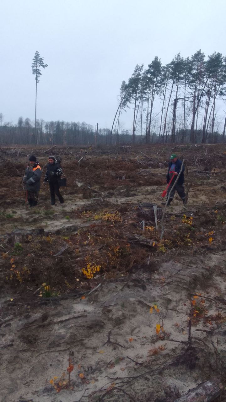 photo 2025 11 08 12 03 32