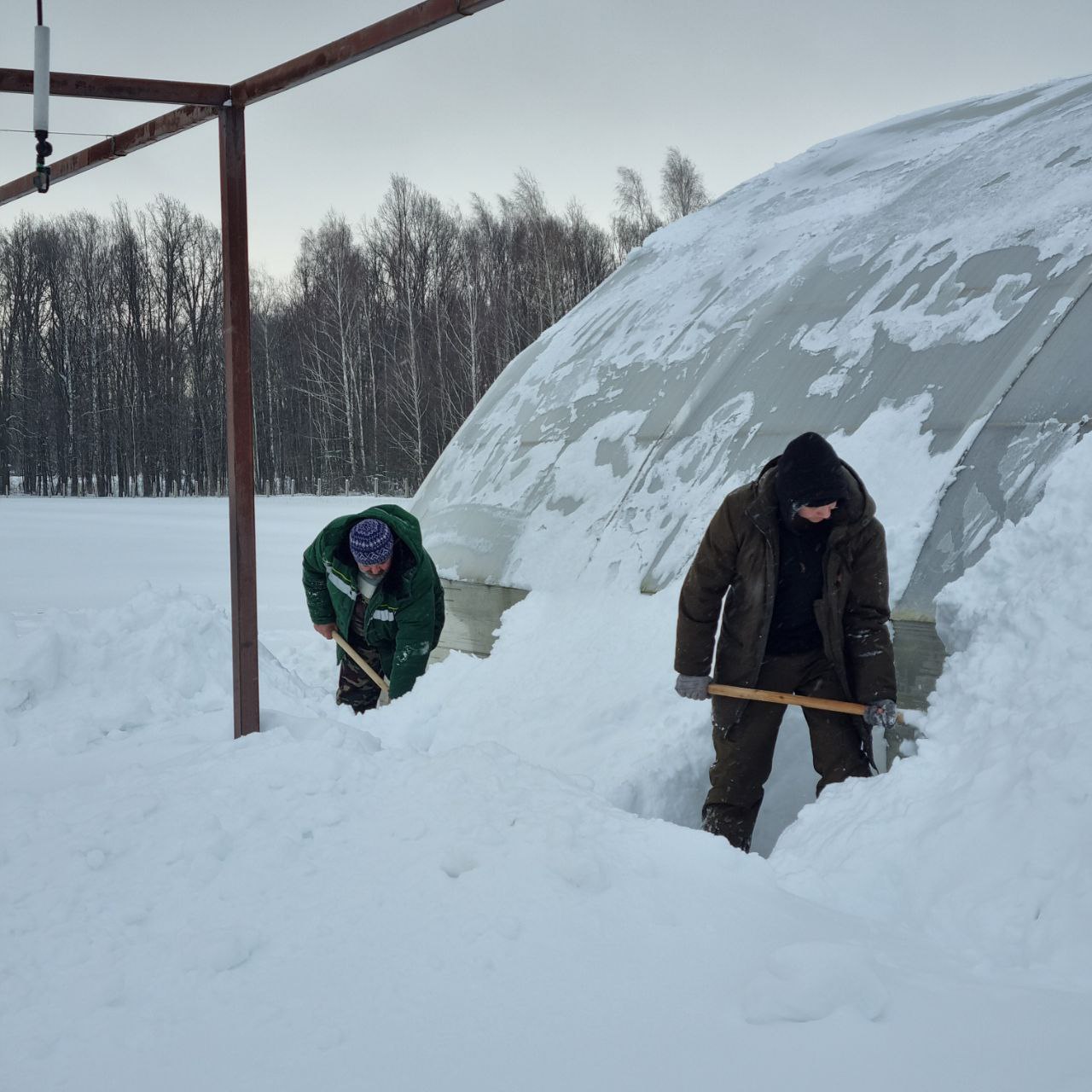 photo 2026 01 09 15 13 53 2