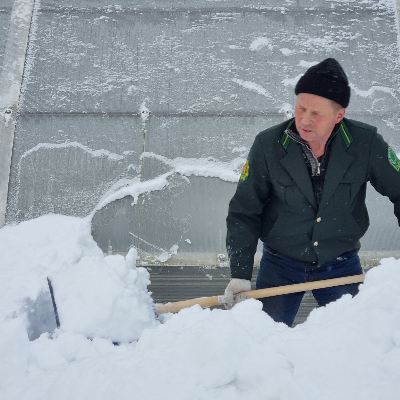 photo 2026 01 09 15 13 53 4