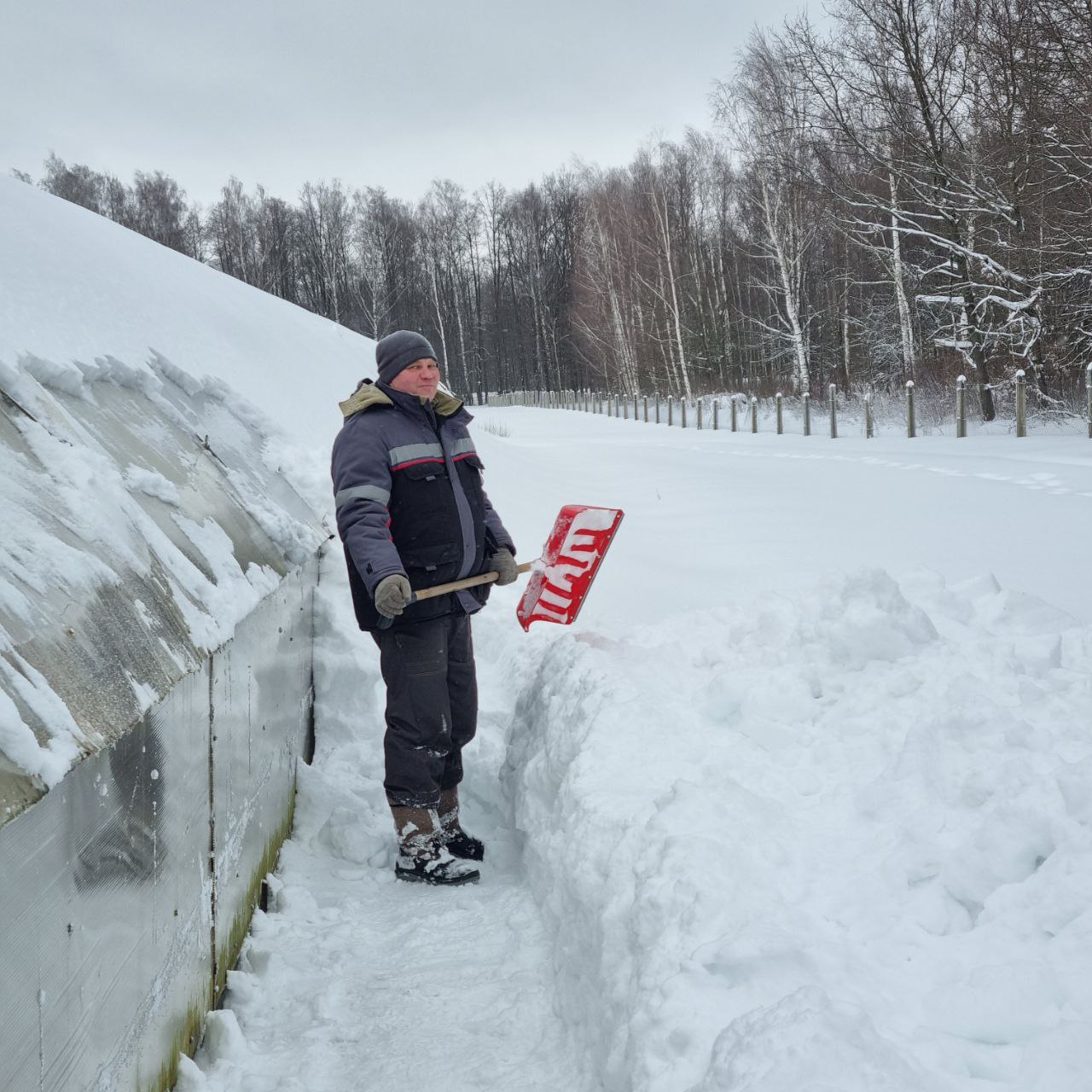 photo 2026 01 09 15 13 54