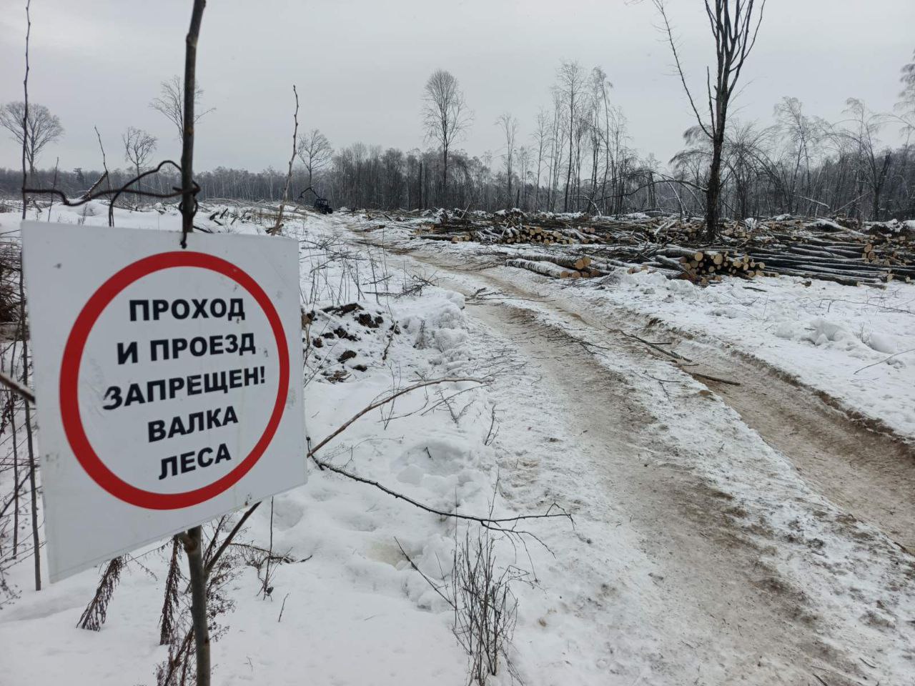 photo 2026 02 06 16 40 16