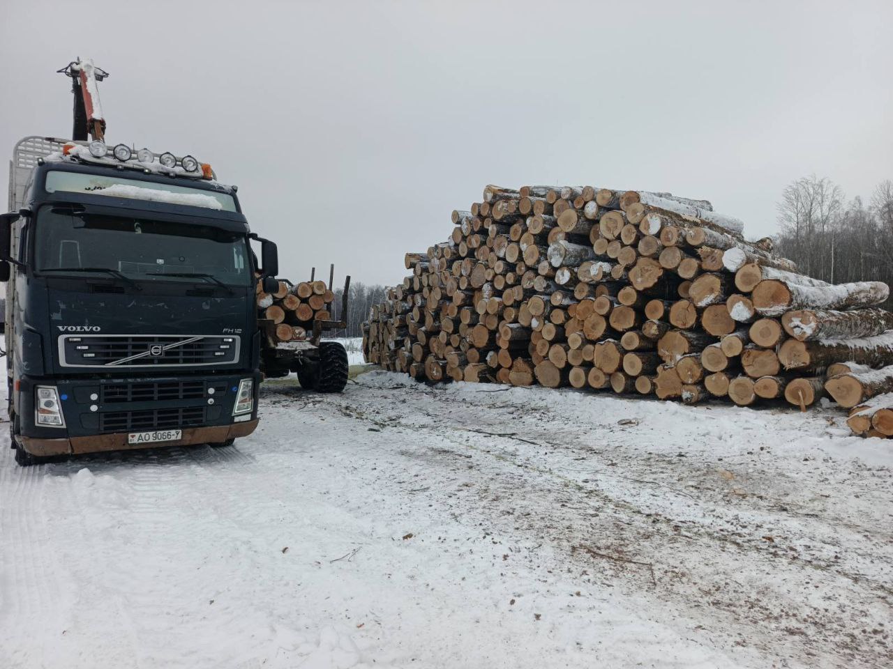 photo 2026 02 06 16 40 25