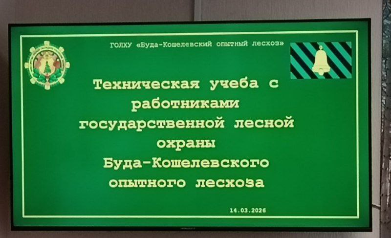 photo 2026 03 14 14 05 11