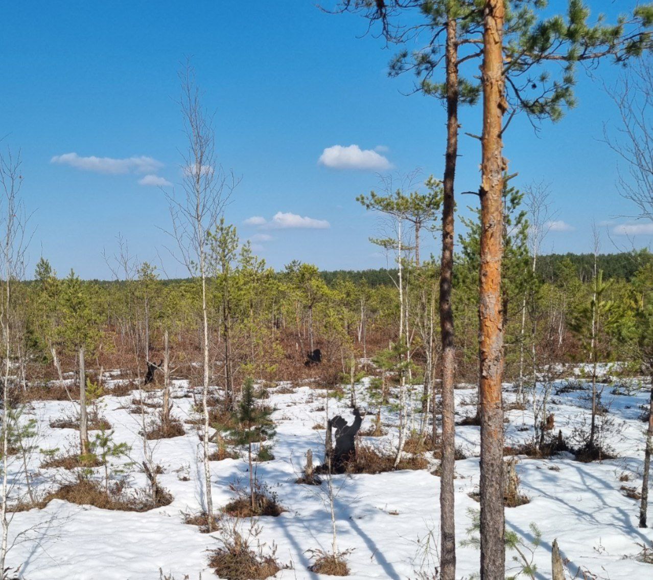 photo 2026 03 19 20 01 11