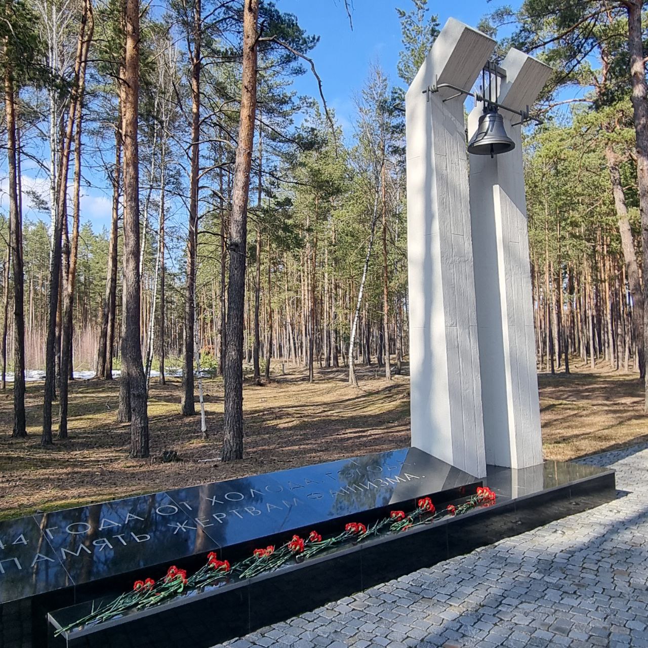 photo 2026 03 19 20 01 21