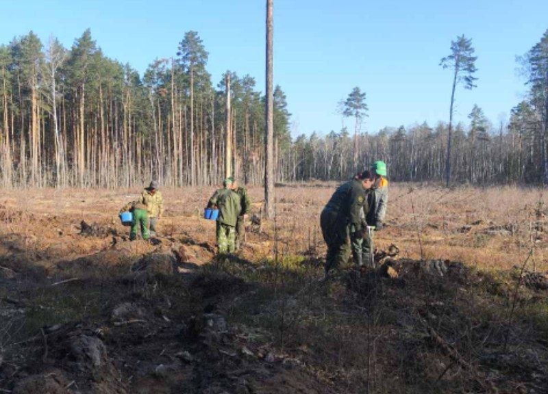 photo 2026 04 04 11 15 26 4