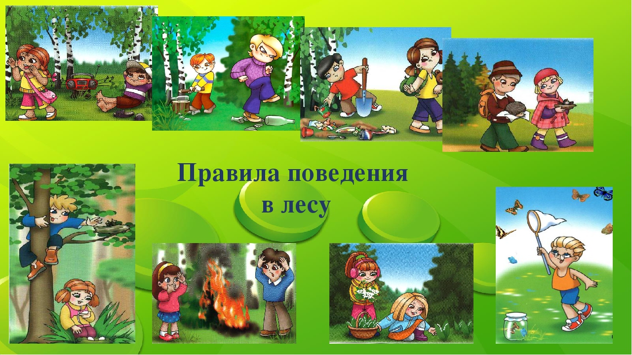 pravila povedeniya v lesu dlya detey