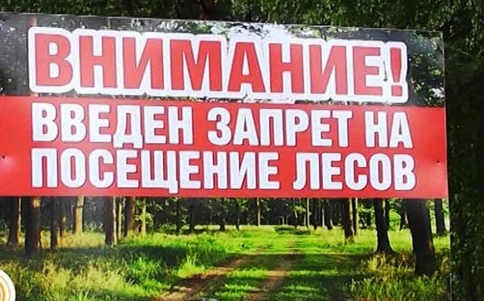zapret na poseshhenie lesov