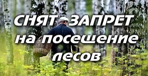 photo 2026 07 07 21 33 34